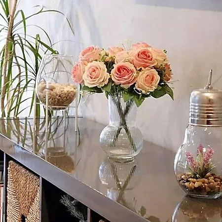 Hotel Abelia Montpellier